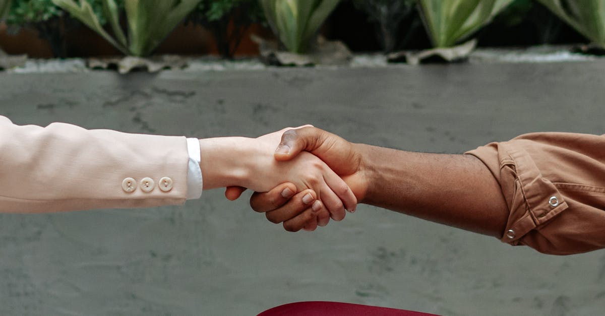 Close-up of diverse hands shaking indoors, symbolizing partnership and agreement.